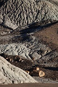 IMG_3145