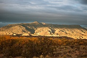IMG_2876